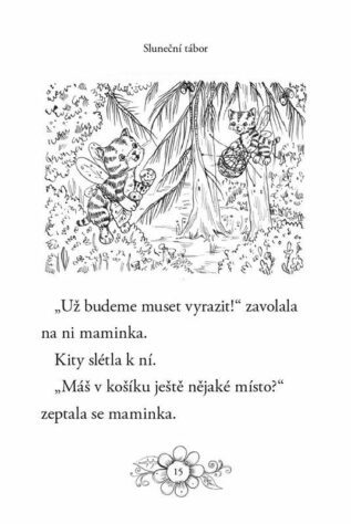 Ukázka