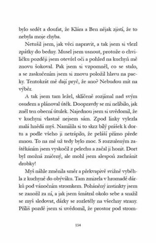 Ukázka
