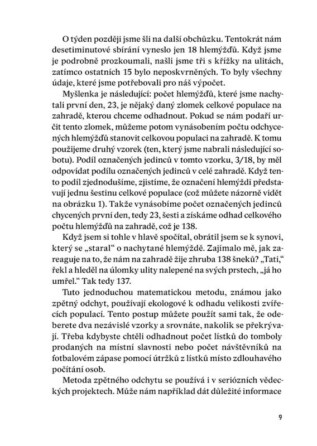 Ukázka