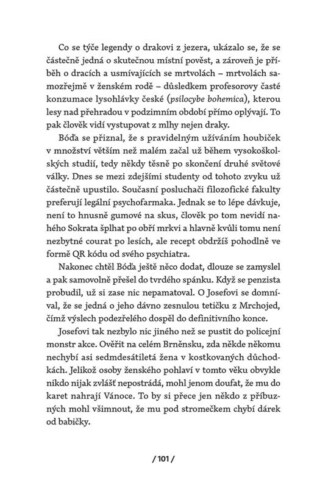 Ukázka