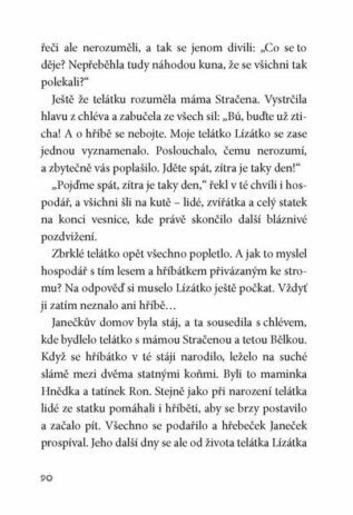 Ukázka