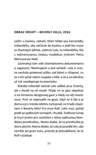 Ukázka