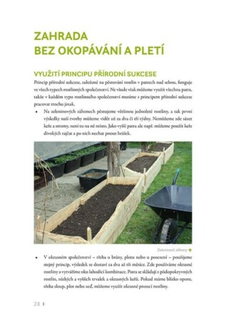 Ukázka