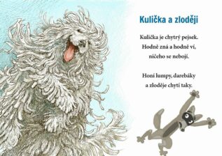 Ukázka