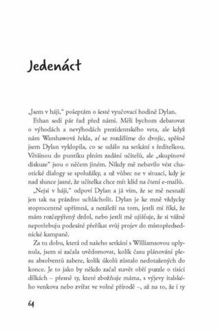 Ukázka