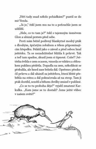Ukázka