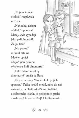 Ukázka
