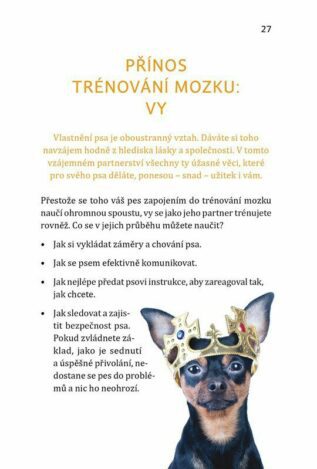 Ukázka