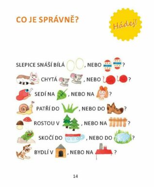 Ukázka