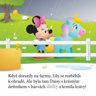 Ukázka