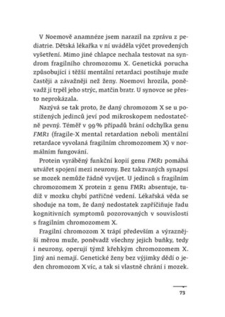 Ukázka