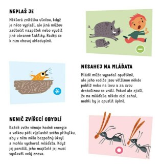 Ukázka