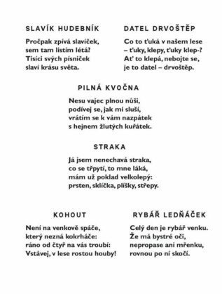 Ukázka