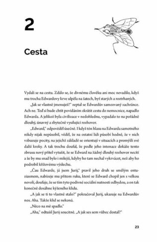 Ukázka