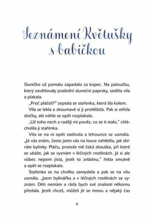 Ukázka