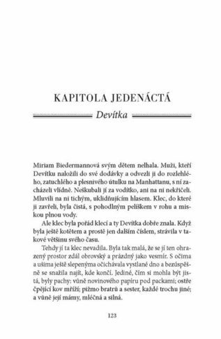 Ukázka