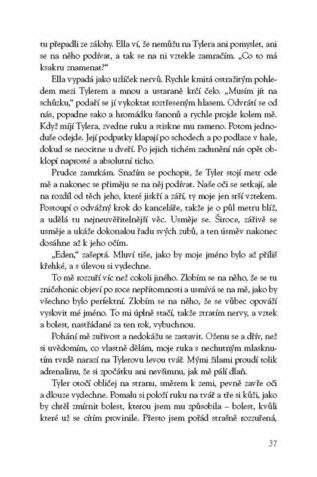 Ukázka