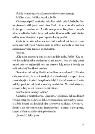 Ukázka