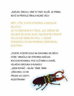 Ukázka