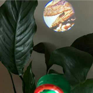 Posviť si na dinosaury: T-Rex