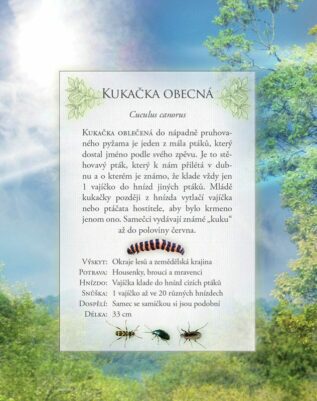 Ukázka