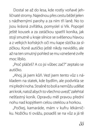 Ukázka