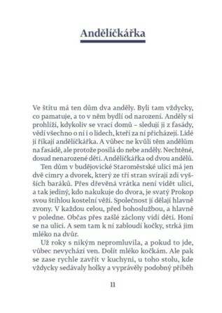 Ukázka