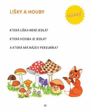 Ukázka