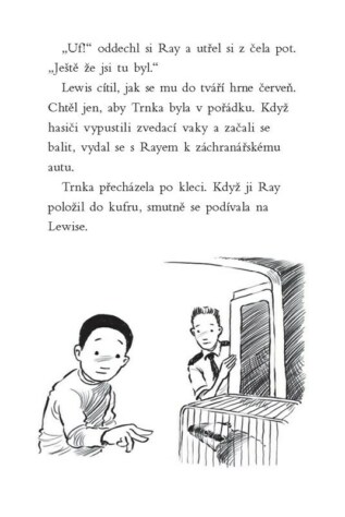 Ukázka