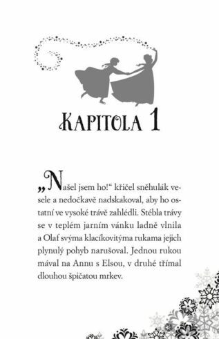 Ukázka