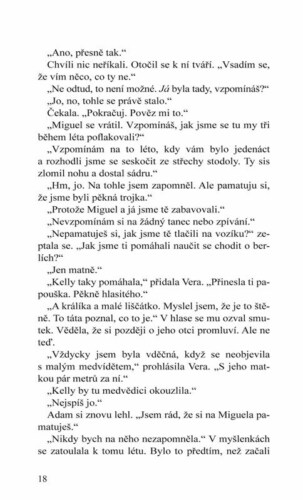 Ukázka