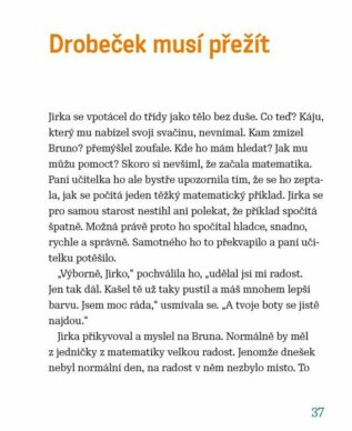 Ukázka