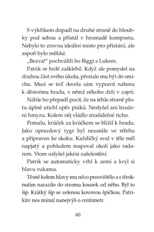 Ukázka