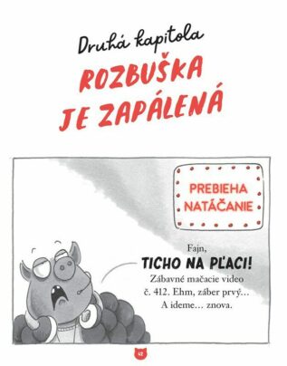 Ukázka
