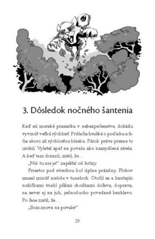 Ukázka