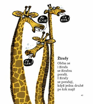 Ukázka