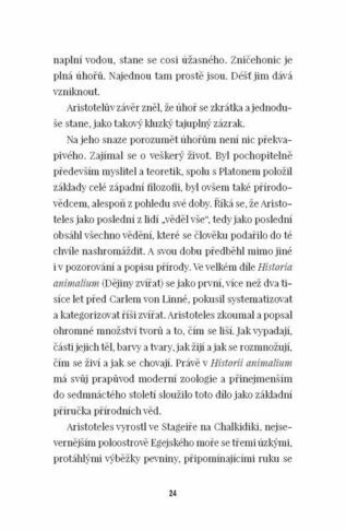 Ukázka