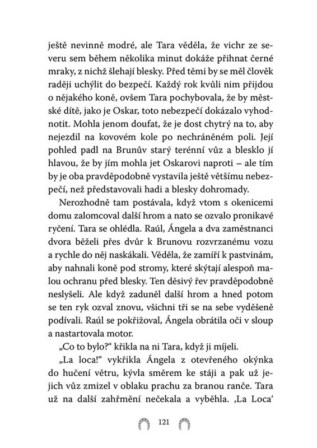 Ukázka
