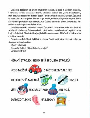 Ukázka