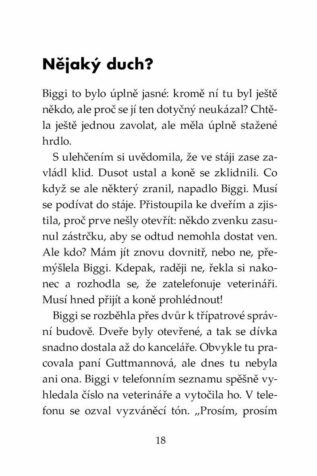 Ukázka