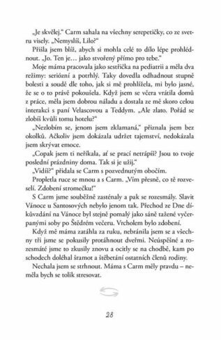 Ukázka