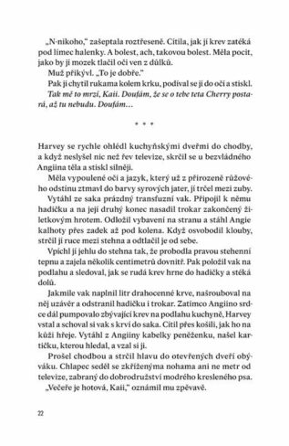 Ukázka