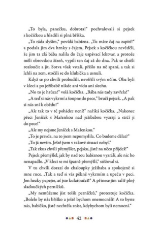 Ukázka