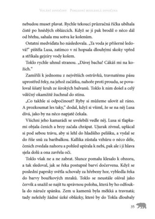 Ukázka