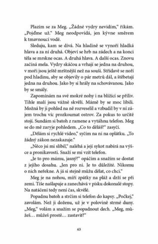 Ukázka