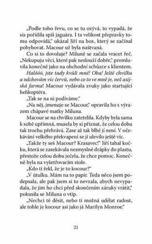 Ukázka