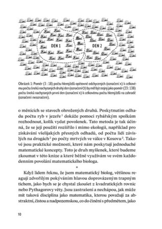 Ukázka