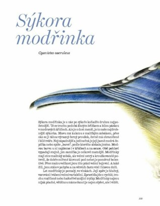 Ukázka