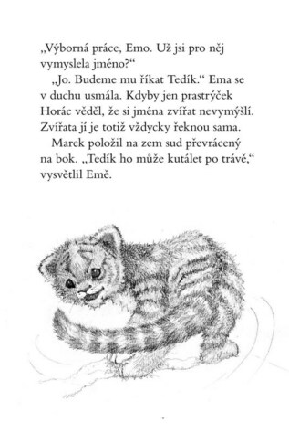 Ukázka