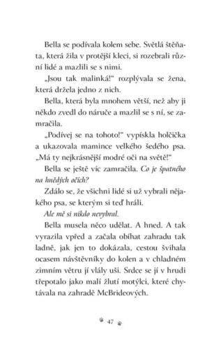 Ukázka